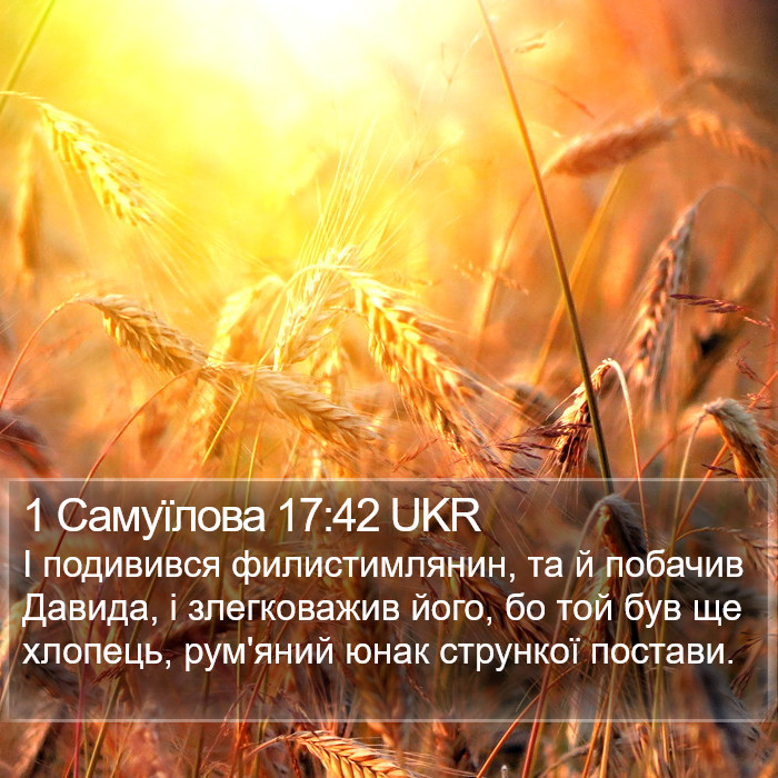 1 Самуїлова 17:42 UKR Bible Study