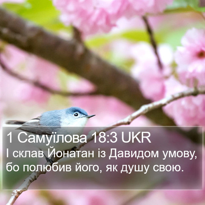 1 Самуїлова 18:3 UKR Bible Study