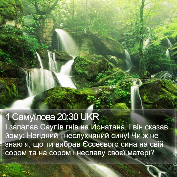 1 Самуїлова 20:30 UKR Bible Study