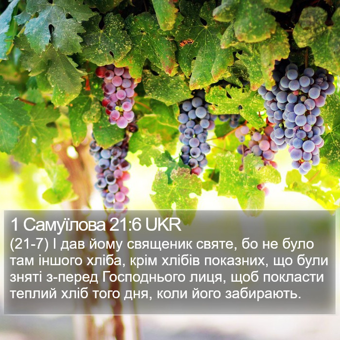 1 Самуїлова 21:6 UKR Bible Study