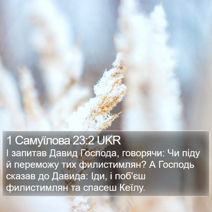 1 Самуїлова 23:2 UKR Bible Study