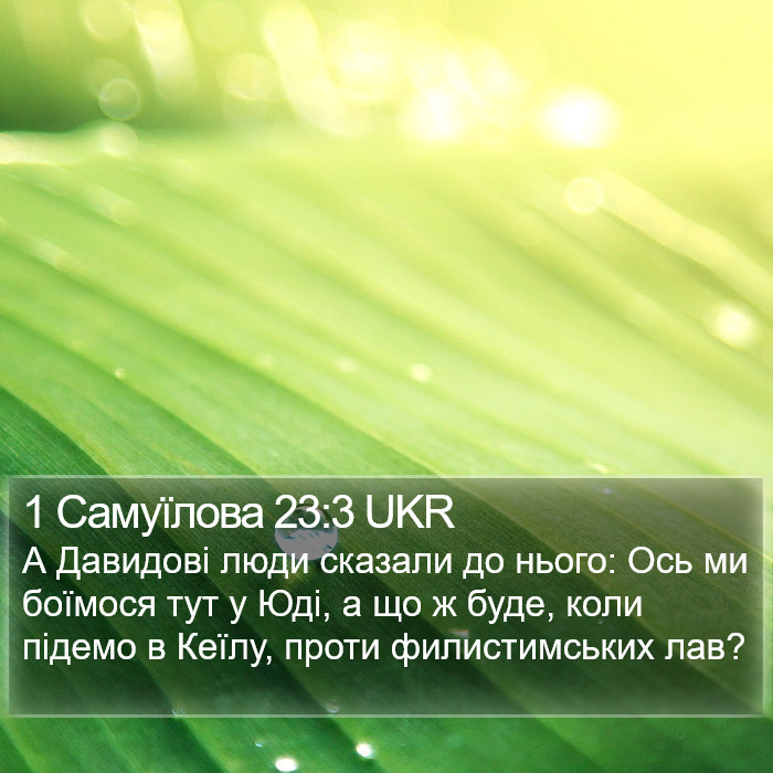 1 Самуїлова 23:3 UKR Bible Study