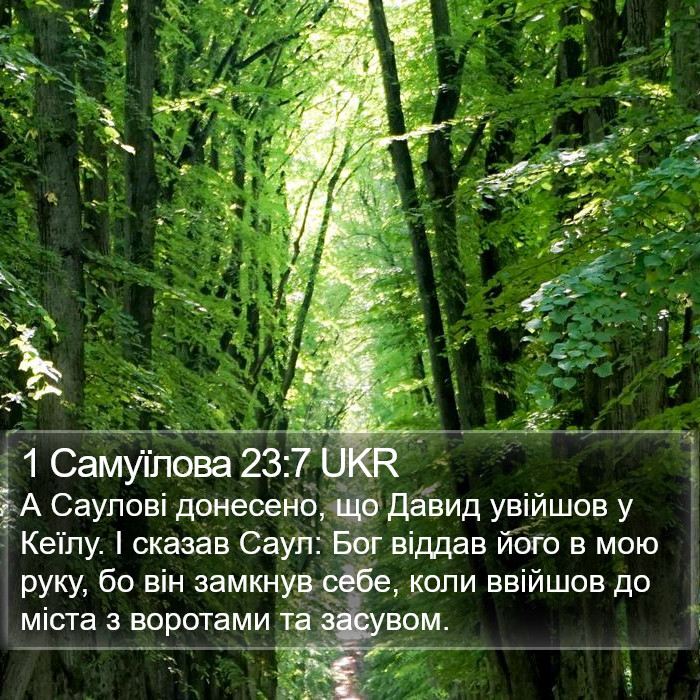 1 Самуїлова 23:7 UKR Bible Study