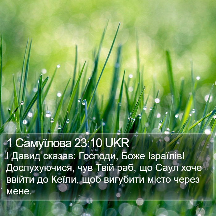 1 Самуїлова 23:10 UKR Bible Study