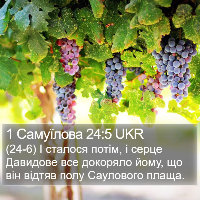 1 Самуїлова 24:5 UKR Bible Study