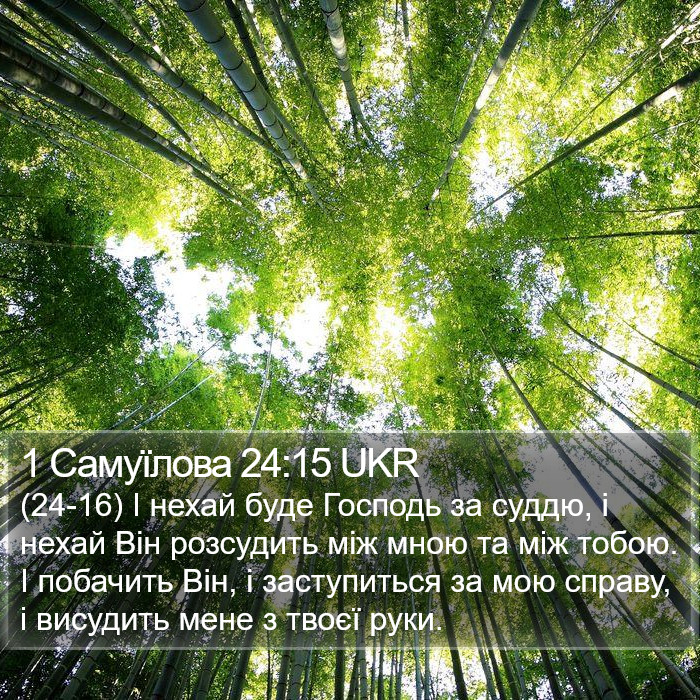 1 Самуїлова 24:15 UKR Bible Study