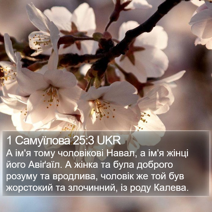 1 Самуїлова 25:3 UKR Bible Study