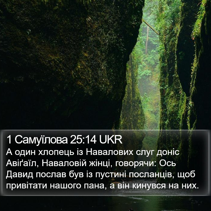 1 Самуїлова 25:14 UKR Bible Study