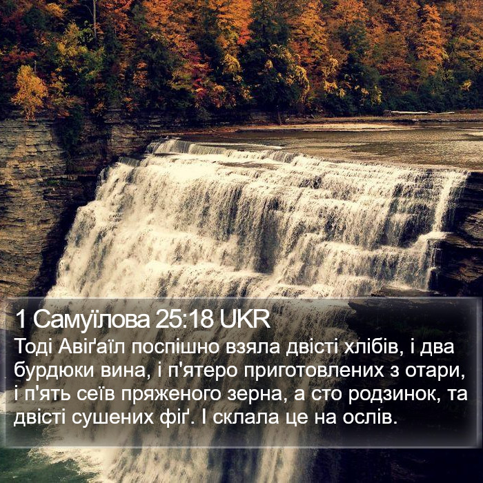 1 Самуїлова 25:18 UKR Bible Study