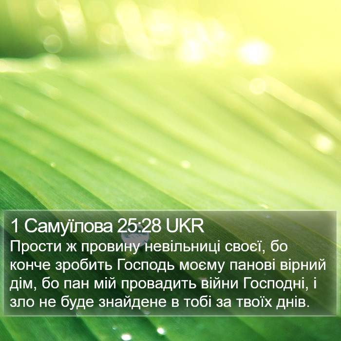 1 Самуїлова 25:28 UKR Bible Study