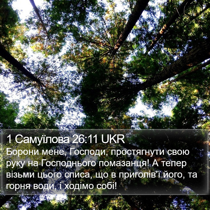 1 Самуїлова 26:11 UKR Bible Study