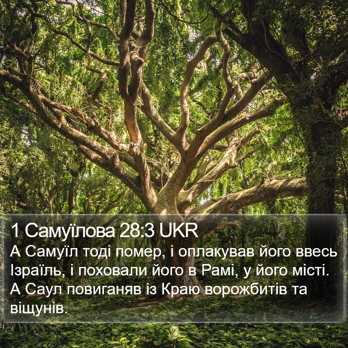 1 Самуїлова 28:3 UKR Bible Study