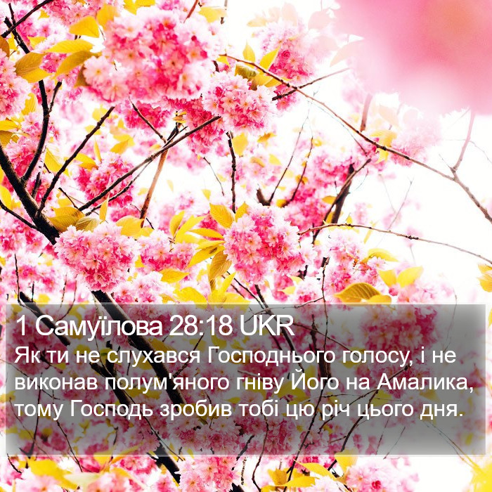 1 Самуїлова 28:18 UKR Bible Study