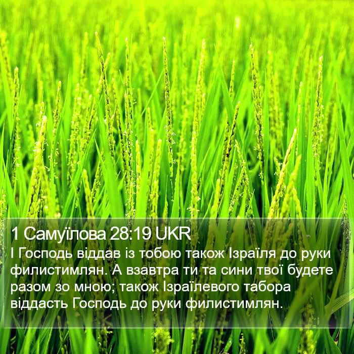1 Самуїлова 28:19 UKR Bible Study