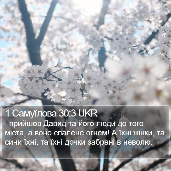 1 Самуїлова 30:3 UKR Bible Study