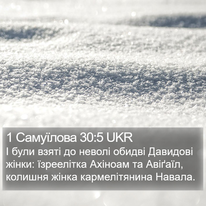 1 Самуїлова 30:5 UKR Bible Study