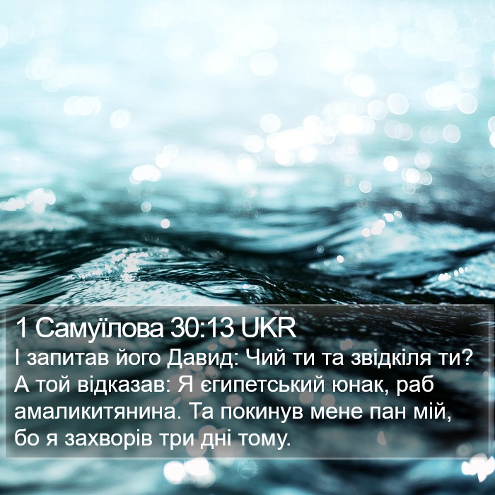 1 Самуїлова 30:13 UKR Bible Study