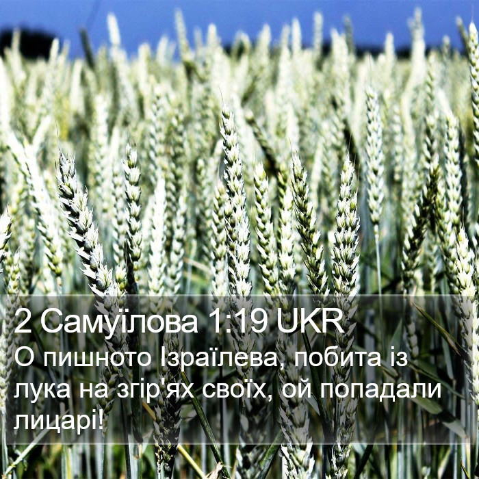 2 Самуїлова 1:19 UKR Bible Study