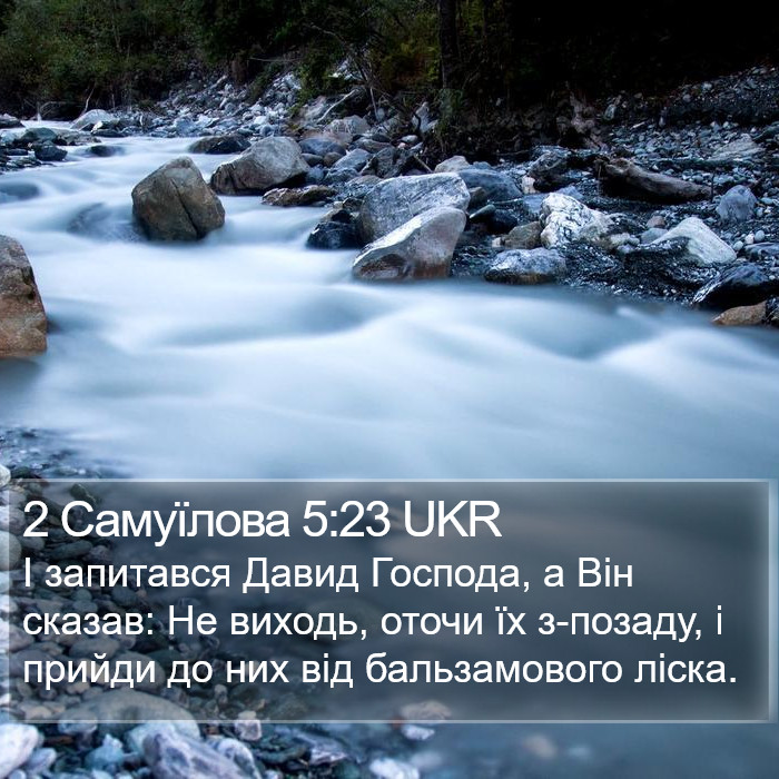 2 Самуїлова 5:23 UKR Bible Study