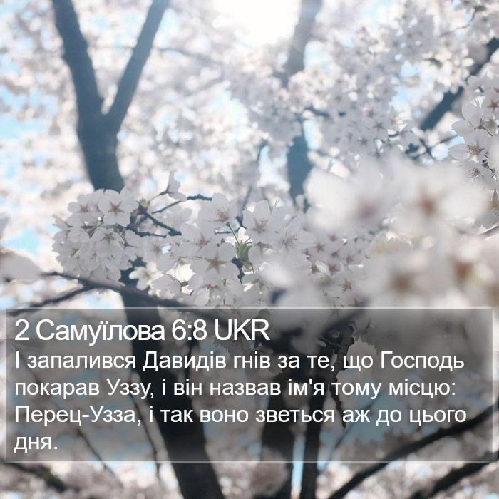 2 Самуїлова 6:8 UKR Bible Study