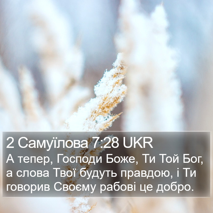 2 Самуїлова 7:28 UKR Bible Study