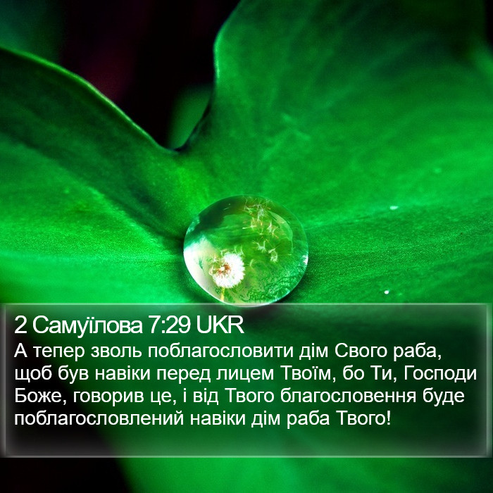 2 Самуїлова 7:29 UKR Bible Study