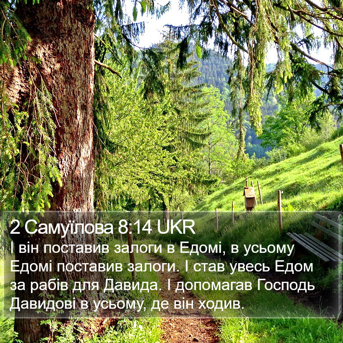 2 Самуїлова 8:14 UKR Bible Study