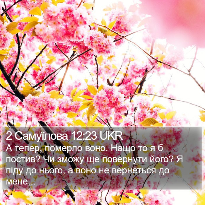2 Самуїлова 12:23 UKR Bible Study