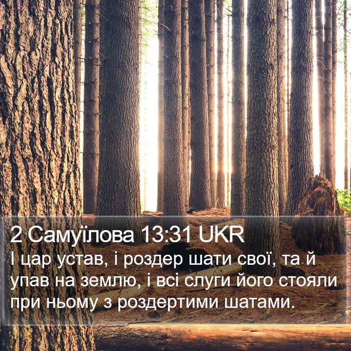 2 Самуїлова 13:31 UKR Bible Study