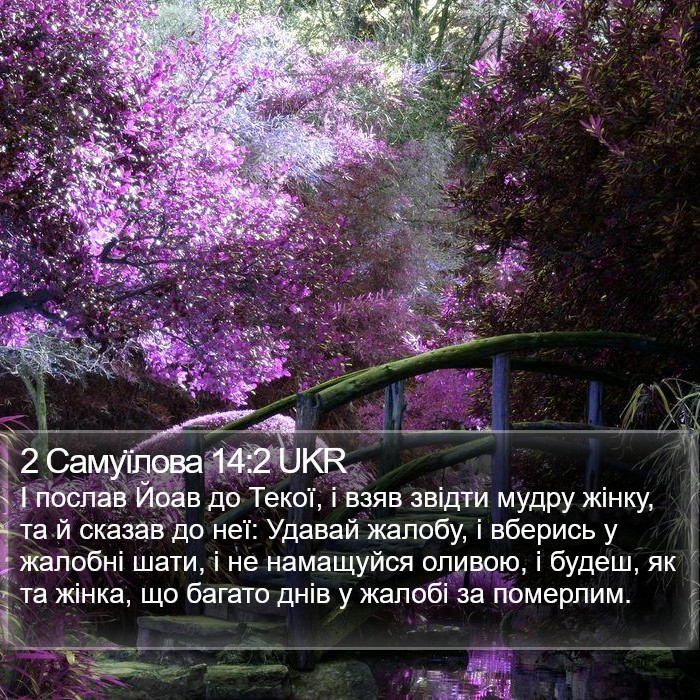 2 Самуїлова 14:2 UKR Bible Study