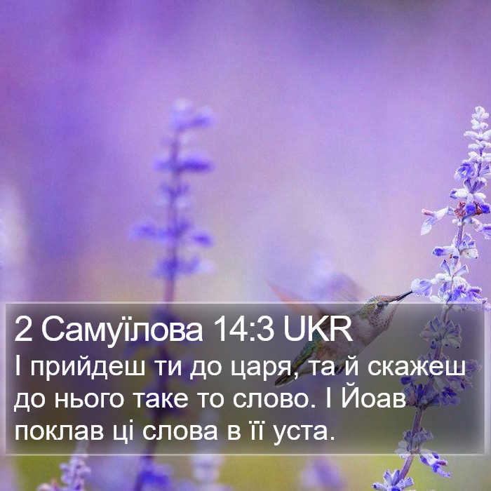 2 Самуїлова 14:3 UKR Bible Study