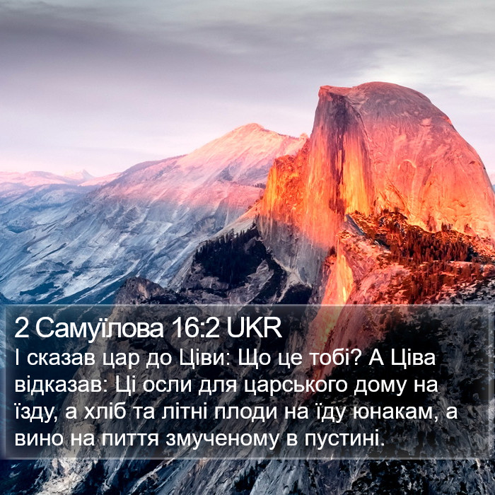 2 Самуїлова 16:2 UKR Bible Study