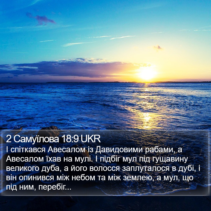 2 Самуїлова 18:9 UKR Bible Study
