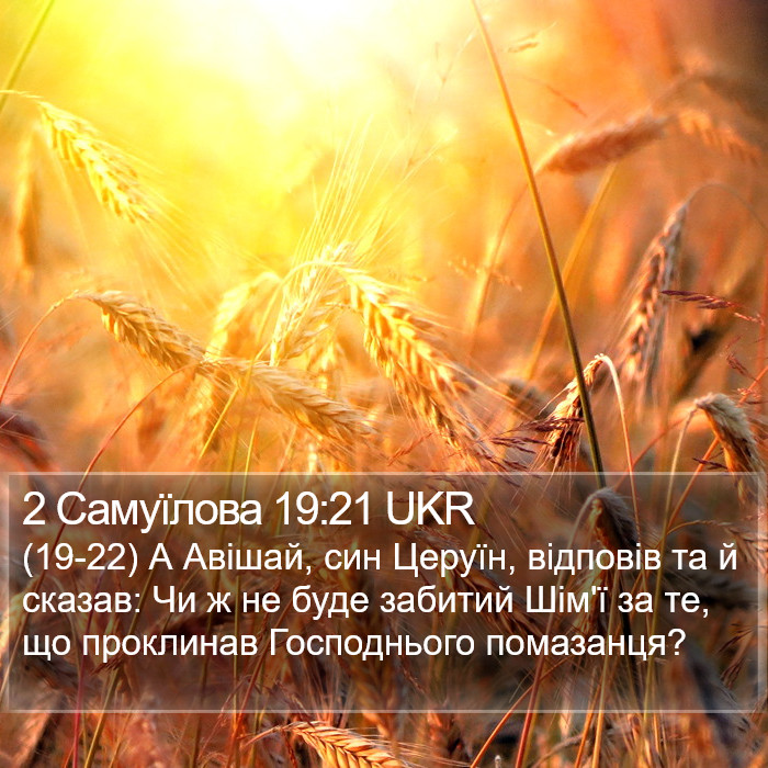 2 Самуїлова 19:21 UKR Bible Study