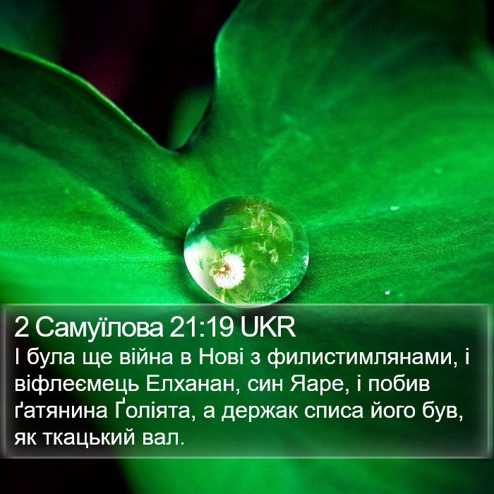 2 Самуїлова 21:19 UKR Bible Study