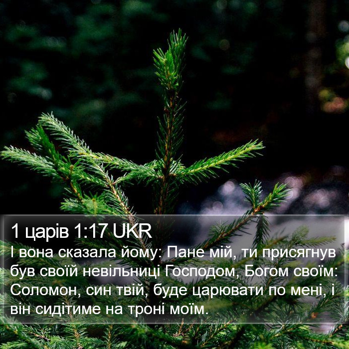 1 царів 1:17 UKR Bible Study