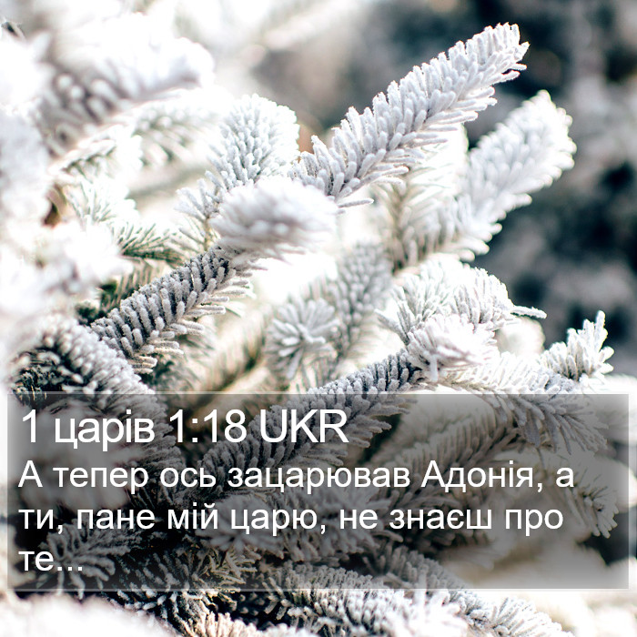 1 царів 1:18 UKR Bible Study