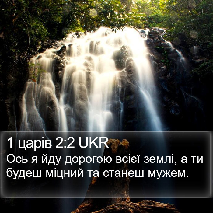 1 царів 2:2 UKR Bible Study