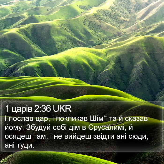 1 царів 2:36 UKR Bible Study