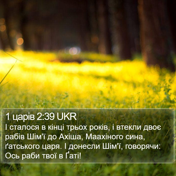 1 царів 2:39 UKR Bible Study