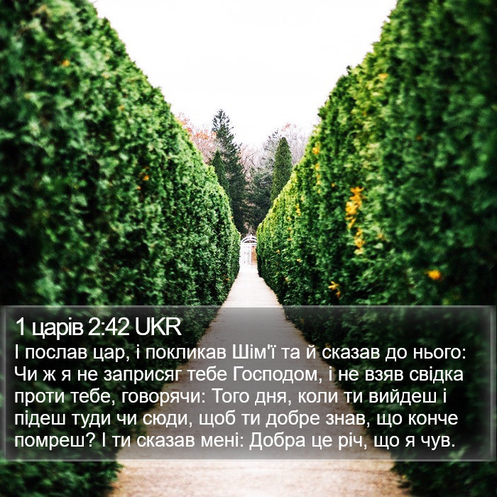 1 царів 2:42 UKR Bible Study