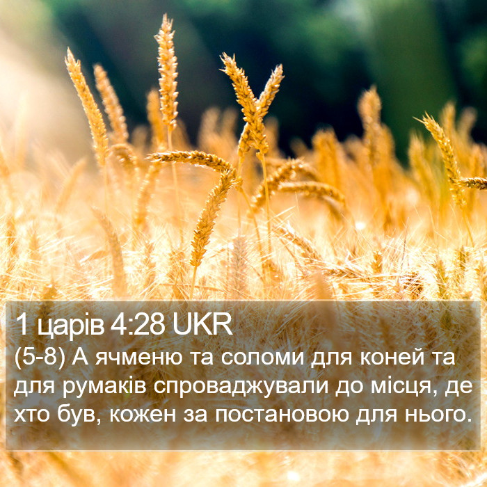 1 царів 4:28 UKR Bible Study