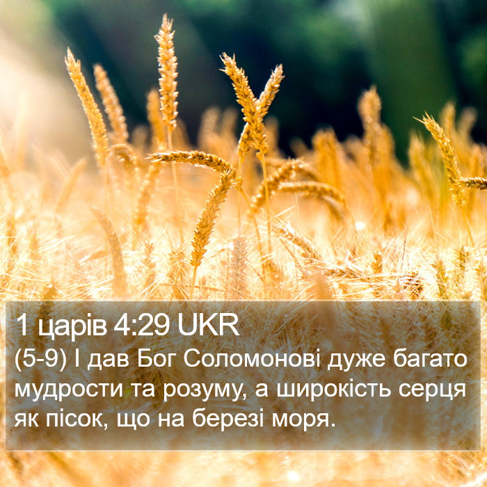 1 царів 4:29 UKR Bible Study