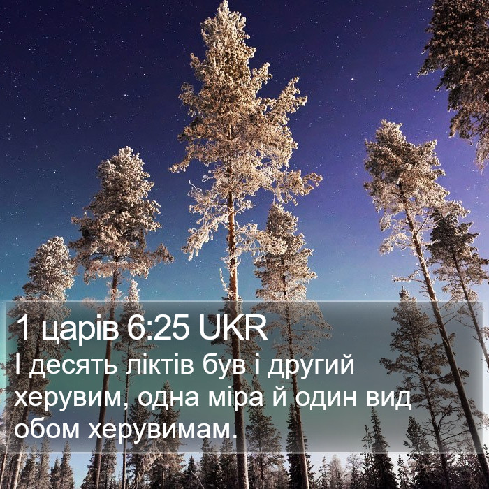 1 царів 6:25 UKR Bible Study
