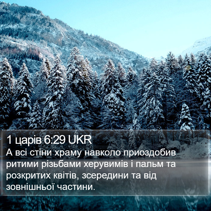 1 царів 6:29 UKR Bible Study