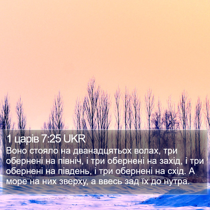 1 царів 7:25 UKR Bible Study