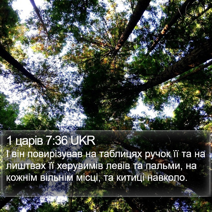 1 царів 7:36 UKR Bible Study