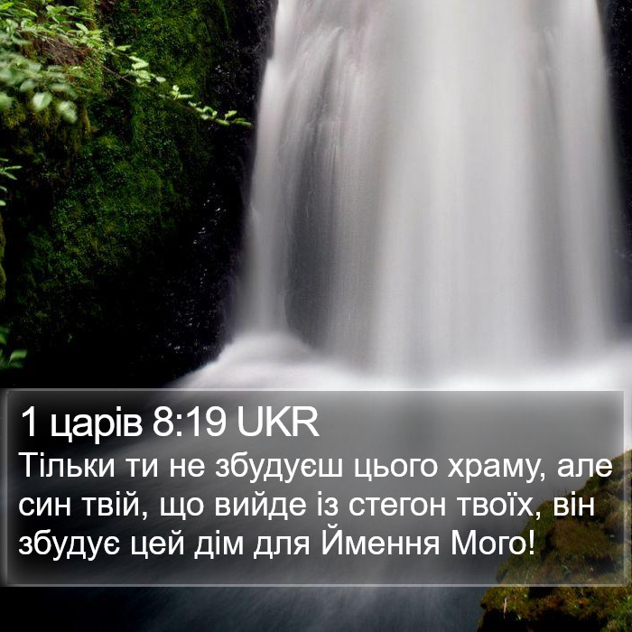 1 царів 8:19 UKR Bible Study