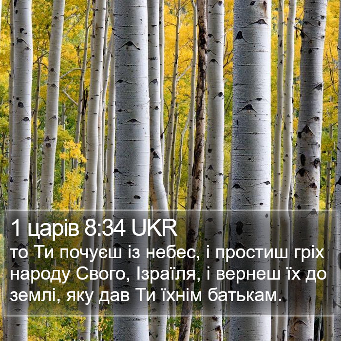 1 царів 8:34 UKR Bible Study