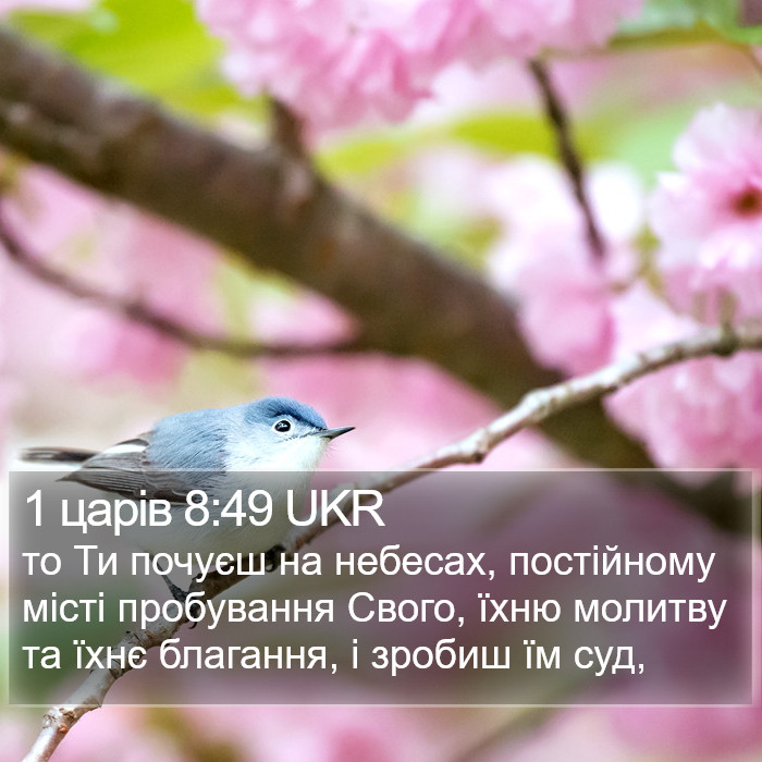 1 царів 8:49 UKR Bible Study